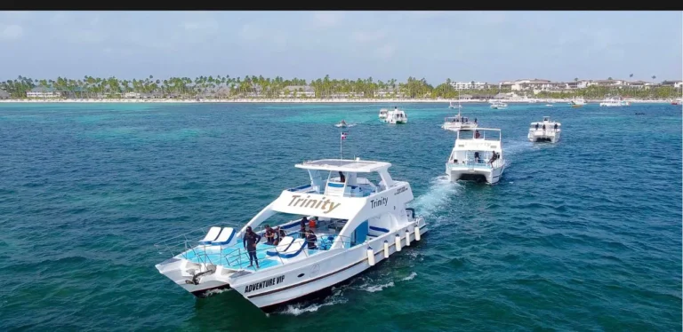 Aerial view of a catamaran with other boats near the shore in Punta Cana