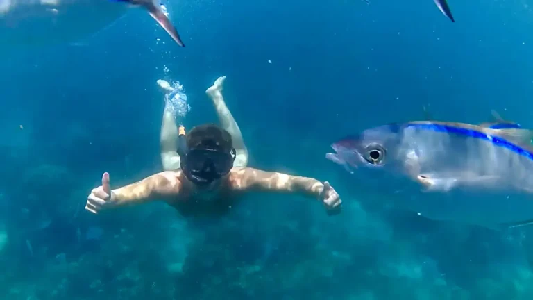 Snorkeler giving a thumbs up next to a fish near Catalina Island