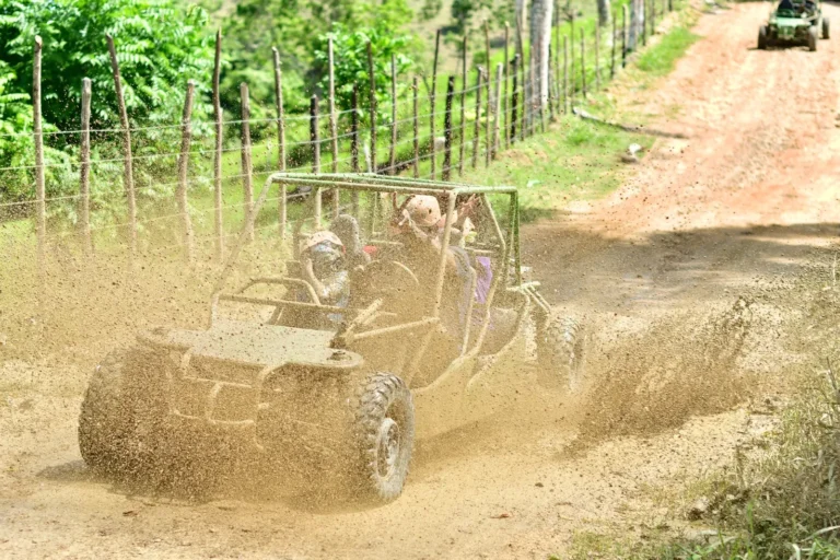 Buggy ride between palm trees at La Hacienda Park