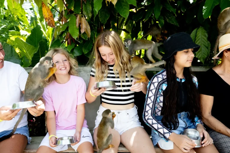 Guests feeding squirrel monkeys from small bowls
