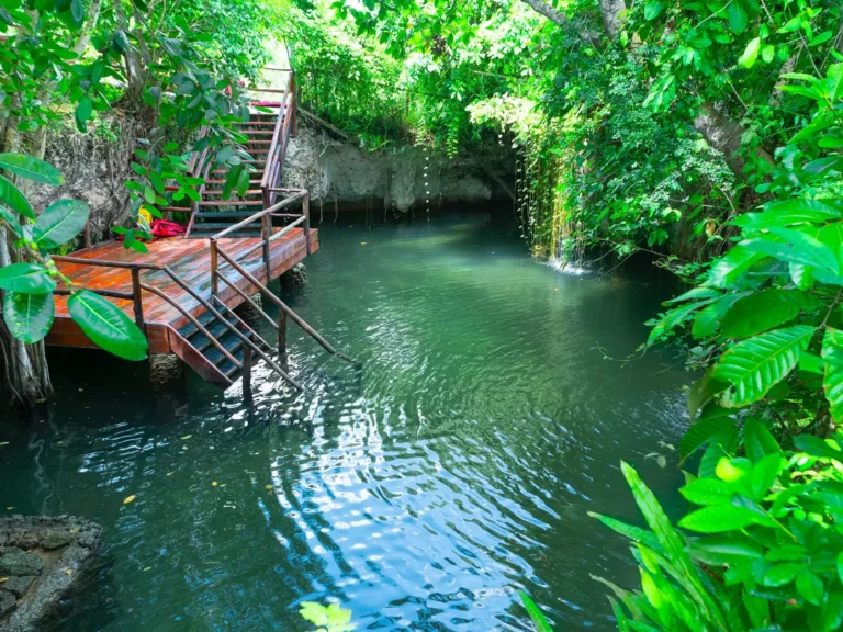 Natural freshwater pool with a wooden deck surrounded by tropical plants