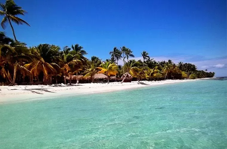 Turquoise shallows and palm-lined shore at Saona Island